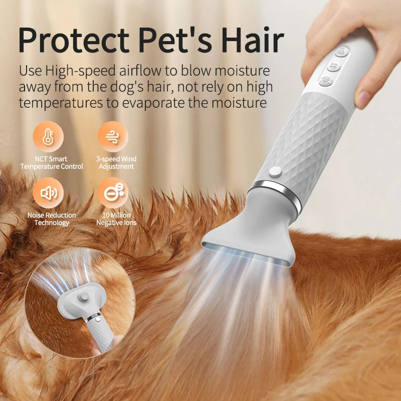 Secador de pelo y soplador portátil 2 en 1 Pettoolls