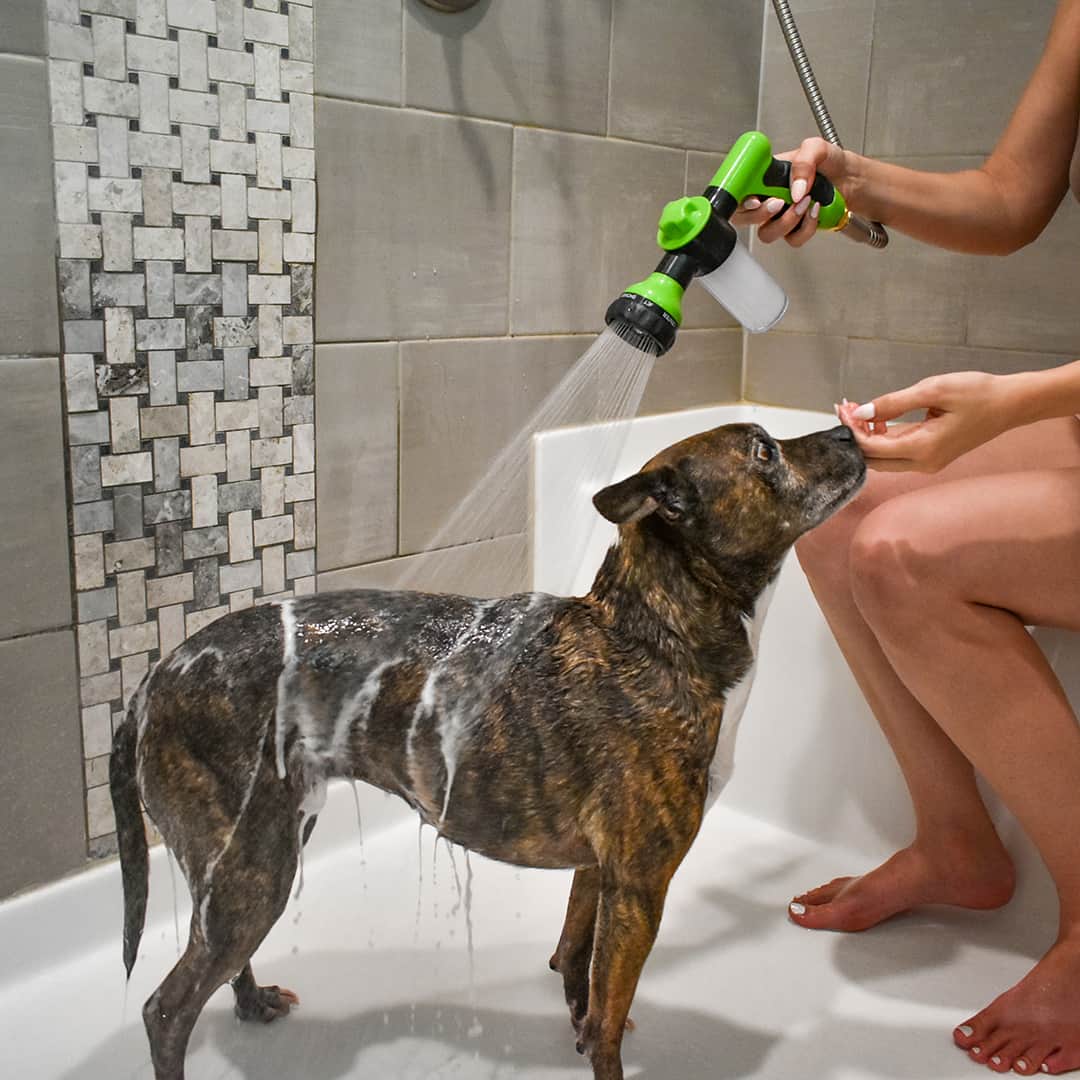 Pup Jet Baño Fácil